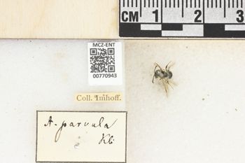 Media type: image;   Entomology 770943 Aspect: Labels